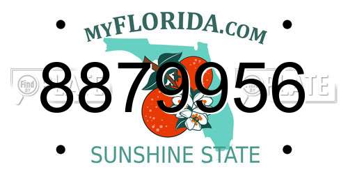8879956 Florida License Plate