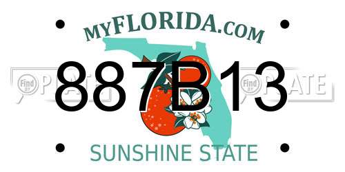 887B13 Florida License Plate