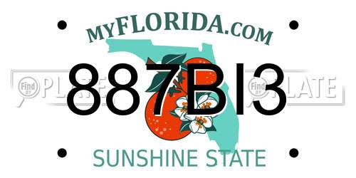 887BI3 Florida License Plate