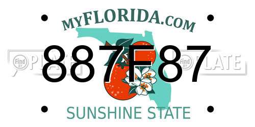 887F87 Florida License Plate