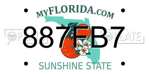 887FB7 Florida License Plate