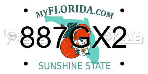 887GX2 Florida License Plate