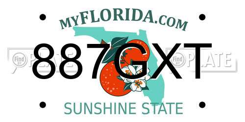 887GXT Florida License Plate