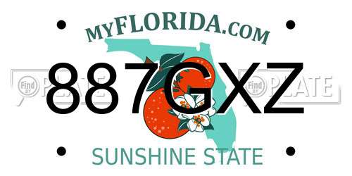 887GXZ Florida License Plate