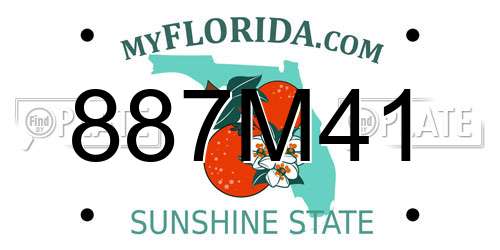 887M41 Florida License Plate