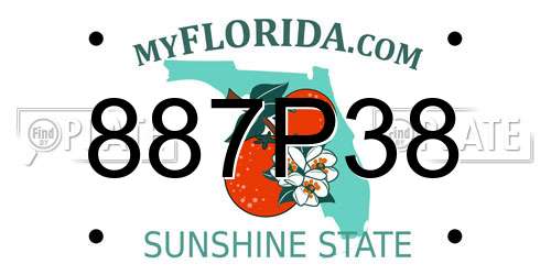 887P38 Florida License Plate