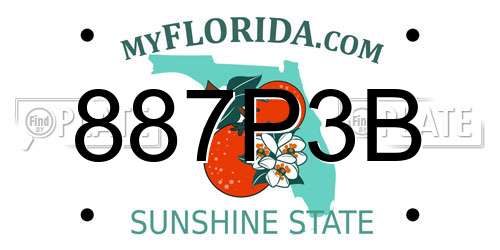 887P3B Florida License Plate