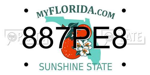 887PE8 Florida License Plate