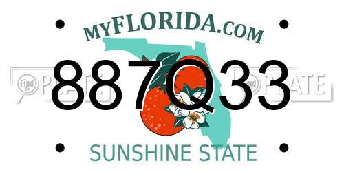 887Q33 Florida License Plate