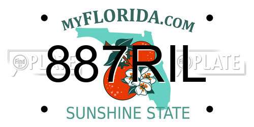 887RIL Florida License Plate
