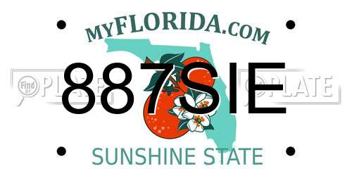 887SIE Florida License Plate
