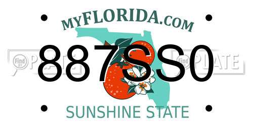 887SS0 Florida License Plate