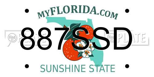 887SSD Florida License Plate