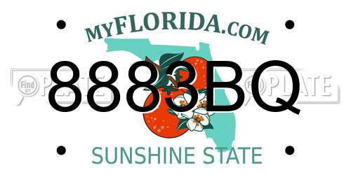 8883BQ Florida License Plate