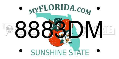 8883DM Florida License Plate