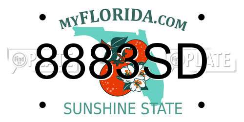 8883SD Florida License Plate