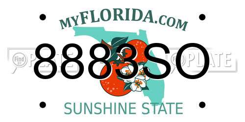 8883SO Florida License Plate