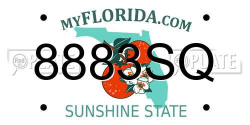 8883SQ Florida License Plate