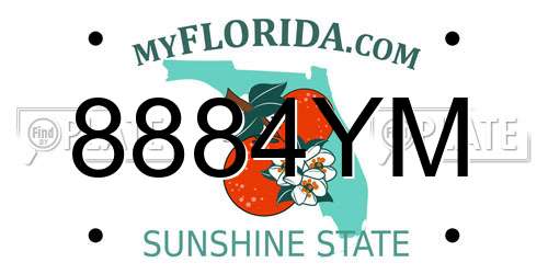 8884YM Florida License Plate
