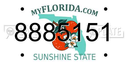 8885151 Florida License Plate