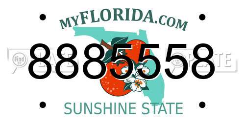 8885558 Florida License Plate