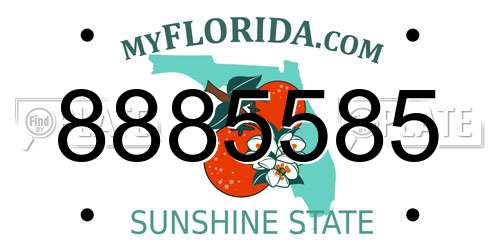8885585 Florida License Plate