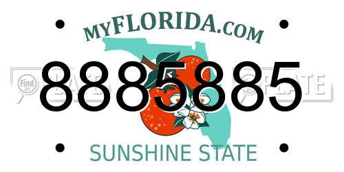 8885885 Florida License Plate