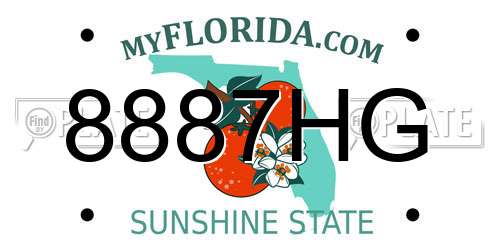 8887HG Florida License Plate