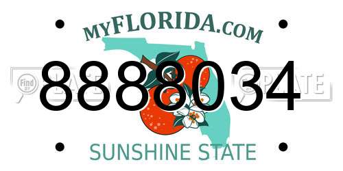 8888034 Florida License Plate