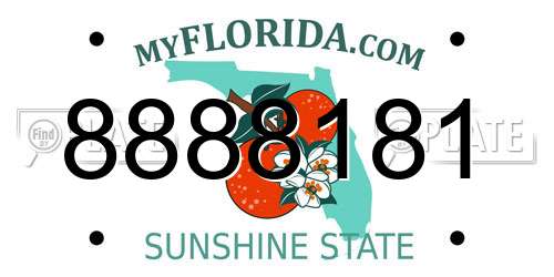 8888181 Florida License Plate