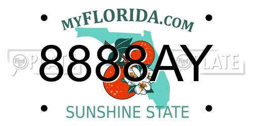 8888AY Florida License Plate