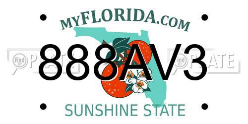 888AV3 Florida License Plate