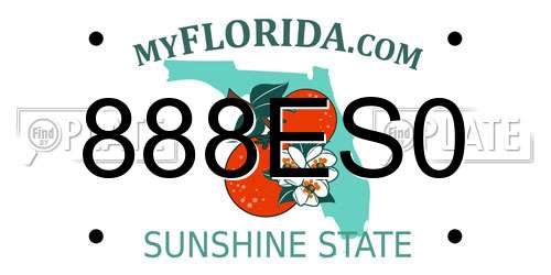888ES0 Florida License Plate