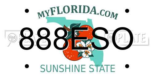 888ESO Florida License Plate