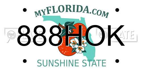 888HOK Florida License Plate