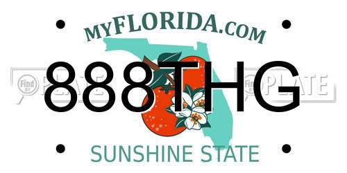888THG Florida License Plate