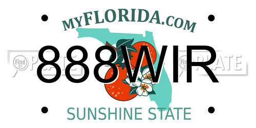 888WIR Florida License Plate