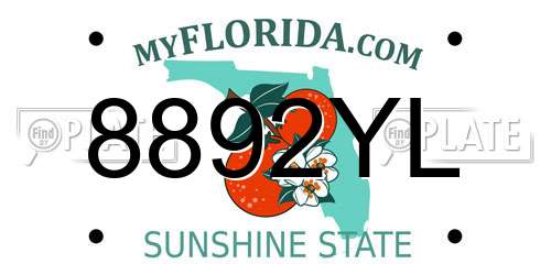 8892YL Florida License Plate