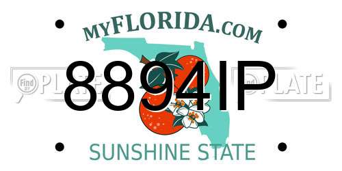 8894IP Florida License Plate