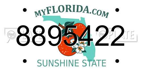 8895422 Florida License Plate