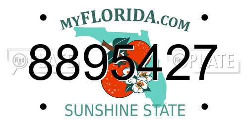 8895427 Florida License Plate
