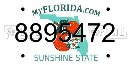 8895472 Florida License Plate