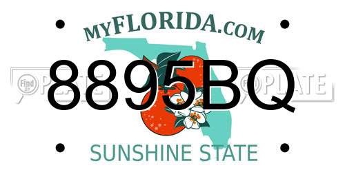 8895BQ Florida License Plate