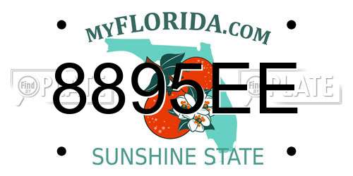 8895EE Florida License Plate