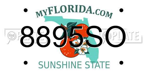 8895SO Florida License Plate
