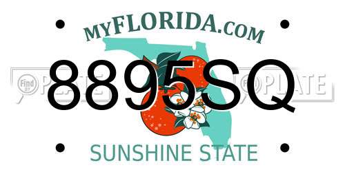 8895SQ Florida License Plate