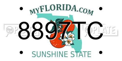 8897TC Florida License Plate