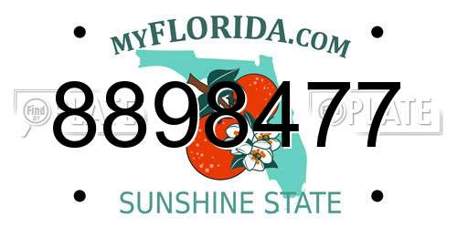 8898477 Florida License Plate