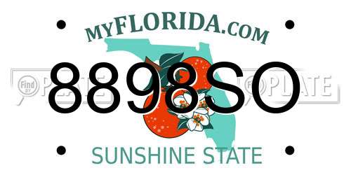 8898SO Florida License Plate