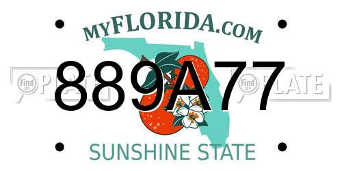 889A77 Florida License Plate